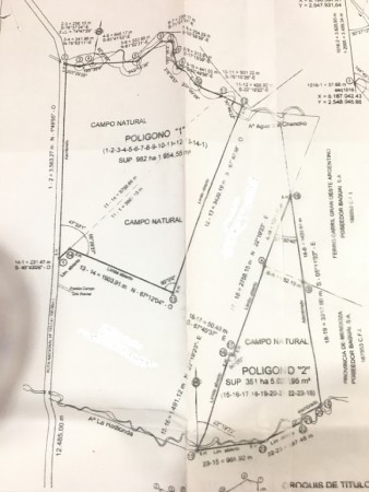 oportunidad! CAMPO DE 2000 HECTÁREAS EN SAN RAFAEL MENDOZA