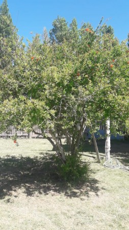 HERMOSO QUINCHO DE 6 M X 12 M CON PISCINA 