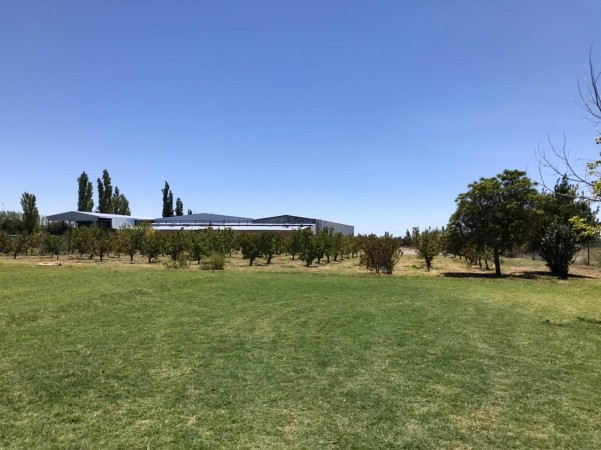 finca de 5500 m2 de plantacion de duraznos y casa de 120 m2 y galpon en Spinelli 751, El Cerrito