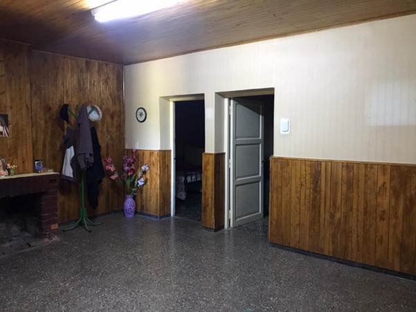 finca de 5500 m2 de plantacion de duraznos y casa de 120 m2 y galpon en Spinelli 751, El Cerrito