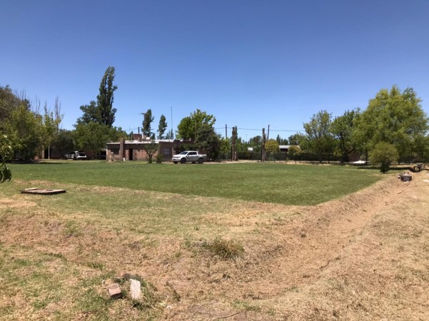 finca de 5500 m2 de plantacion de duraznos y casa de 120 m2 y galpon en Spinelli 751, El Cerrito