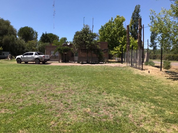 finca de 5500 m2 de plantacion de duraznos y casa de 120 m2 y galpon en Spinelli 751, El Cerrito