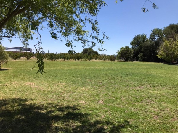 finca de 5500 m2 de plantacion de duraznos y casa de 120 m2 y galpon en Spinelli 751, El Cerrito