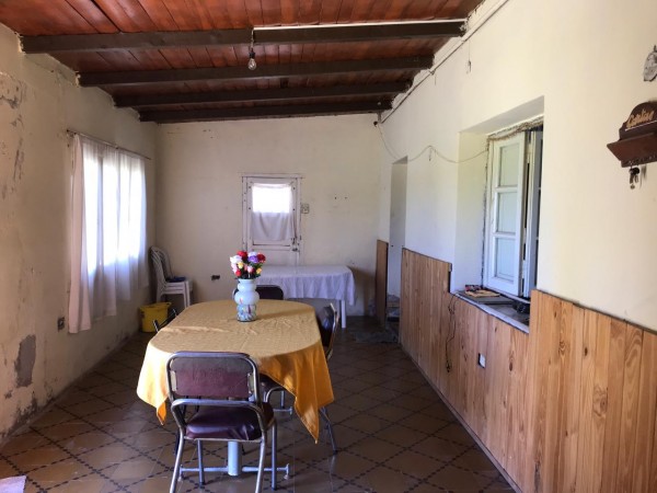 finca de 5500 m2 de plantacion de duraznos y casa de 120 m2 y galpon en Spinelli 751, El Cerrito