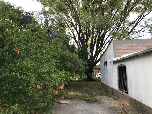 Finca de 2,8 hectareas con casa y galpon 