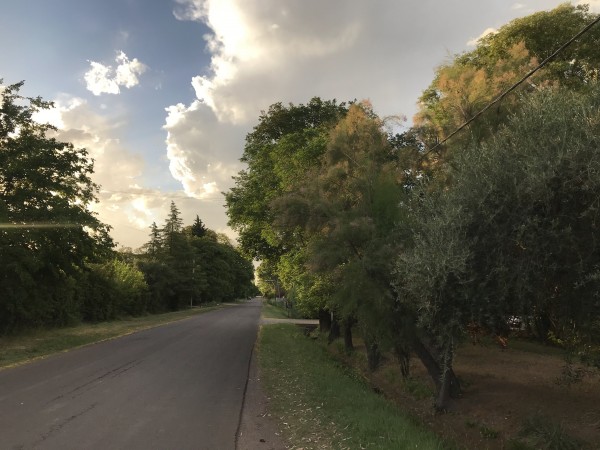 Finca de 2,8 hectareas con casa y galpon 