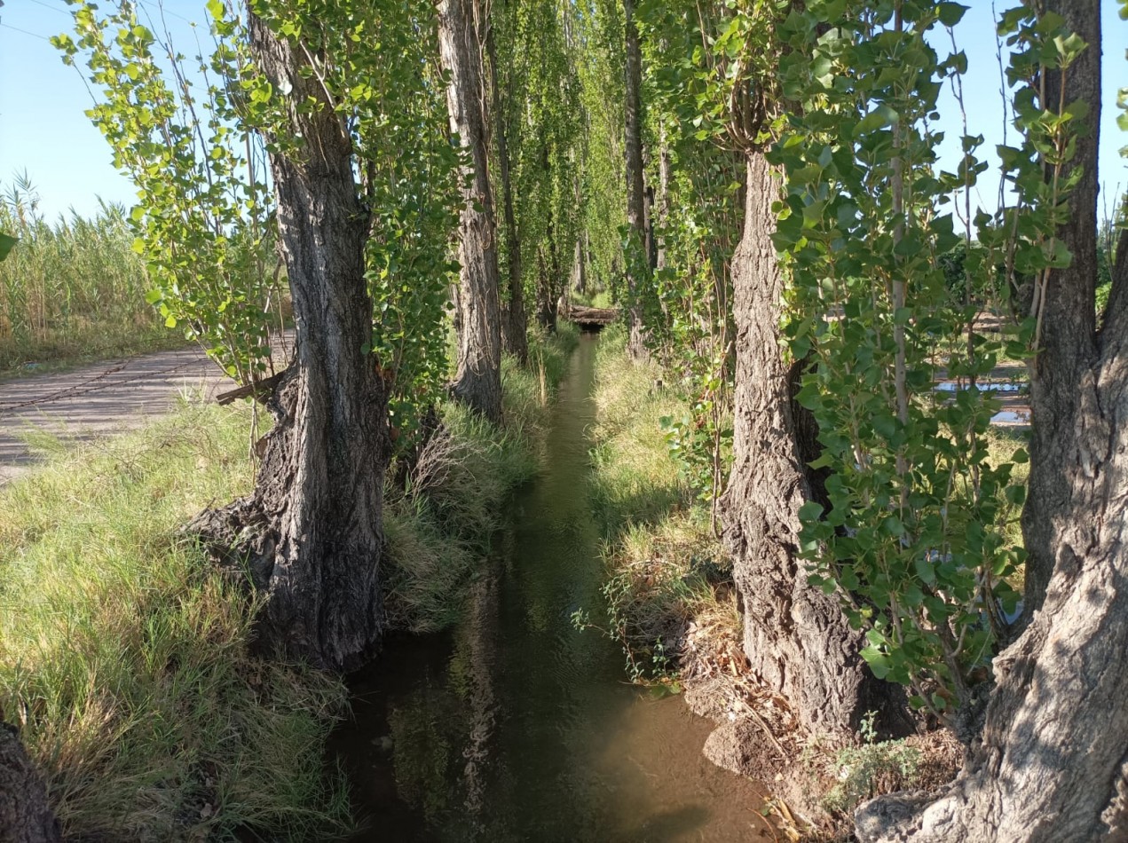 FINCA EN PRODUCCION DE 8 1/2 HECTAREAS  CON DOS CASAS , GALPON Y HERRAMIENTAS