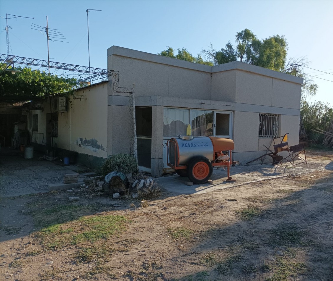 FINCA EN PRODUCCION DE 8 1/2 HECTAREAS  CON DOS CASAS , GALPON Y HERRAMIENTAS