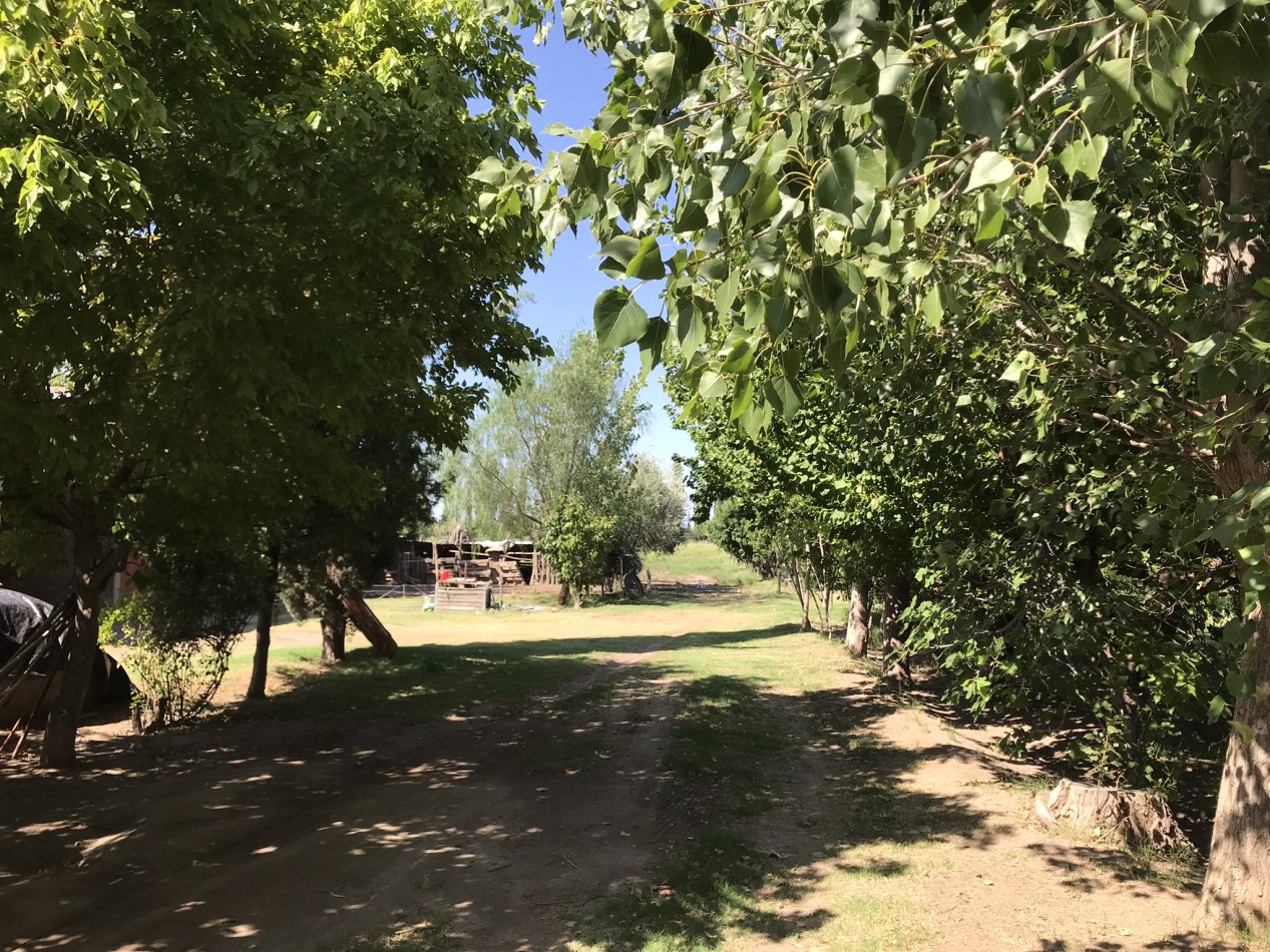 FINCA DE 2 HECTAREAS CON CASAS CERCA AEROPUERTO