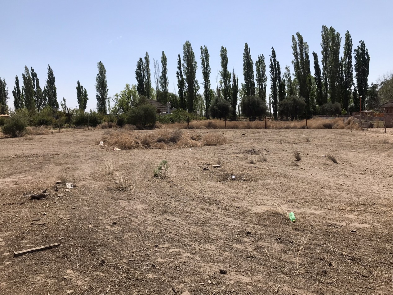 CALLE BIANCHI - CASA A TERMINAR - 2000m2