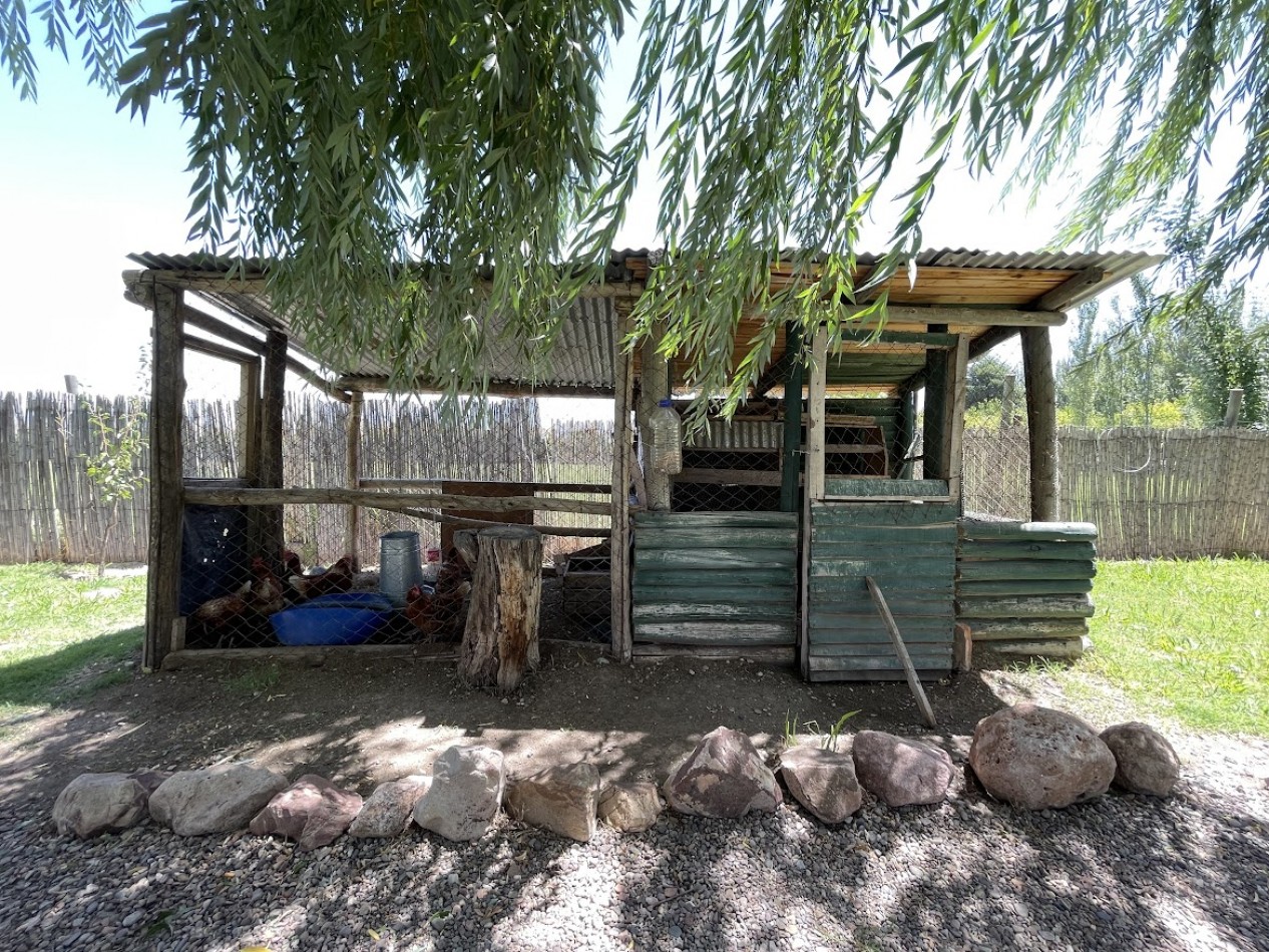 CASA DE FAMILIA CON CABAÑA EQUIPADA Y PISCINA - GAS NATURAL