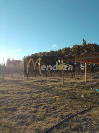 SE VENDE AMPLIA CASA DE 631 M2 CON 6, 25 HECTAREAS