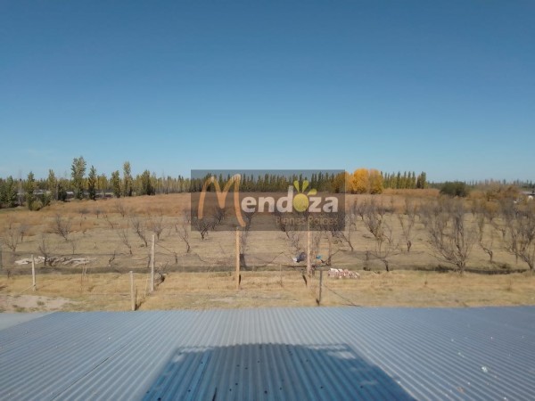 SE VENDE AMPLIA CASA DE 631 M2 CON 6, 25 HECTAREAS