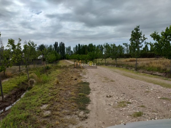 TERRENO DE 2200 M2 EN CALLE EJERCITO DE LOS ANDES CAMINO A VALLE GRANDE, SAN RAFAEL, MENDOZA