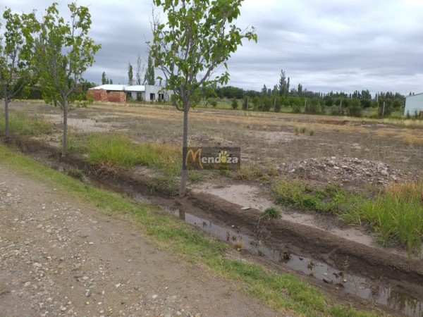 TERRENO DE 2200 M2 EN CALLE EJERCITO DE LOS ANDES CAMINO A VALLE GRANDE, SAN RAFAEL, MENDOZA