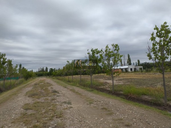 TERRENO DE 2200 M2 EN CALLE EJERCITO DE LOS ANDES CAMINO A VALLE GRANDE, SAN RAFAEL, MENDOZA