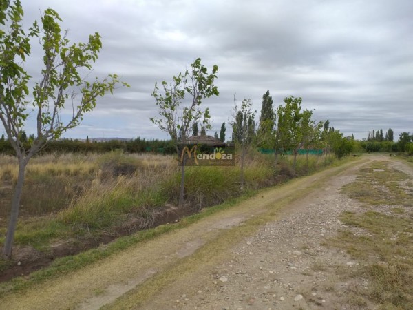 TERRENO DE 2200 M2 EN CALLE EJERCITO DE LOS ANDES CAMINO A VALLE GRANDE, SAN RAFAEL, MENDOZA