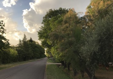 Finca de 2,8 hectareas con casa y galpon 